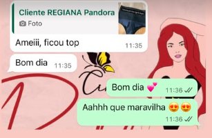 Conversa no WhatsApp: cliente manda foto e diz que amou, ficou top